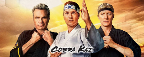 Cobra Kai - A huge success!