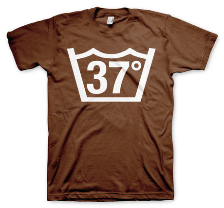 37 Celcius T-Shirt