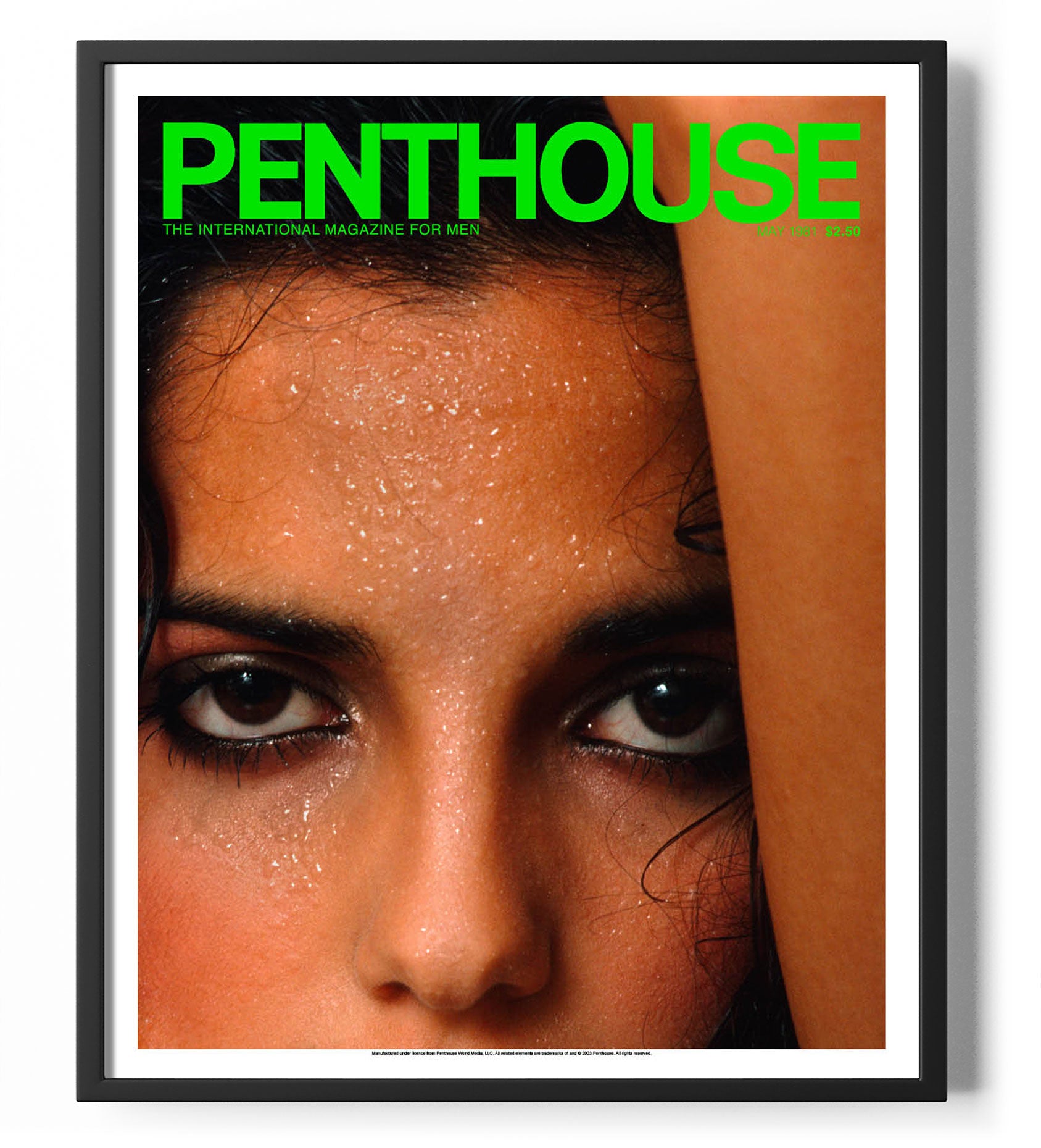 Penthouse Magazine May 1981 Cover Poster Shirtstore Penthouse Magazine May 1981 Cover Poster Shirtstore