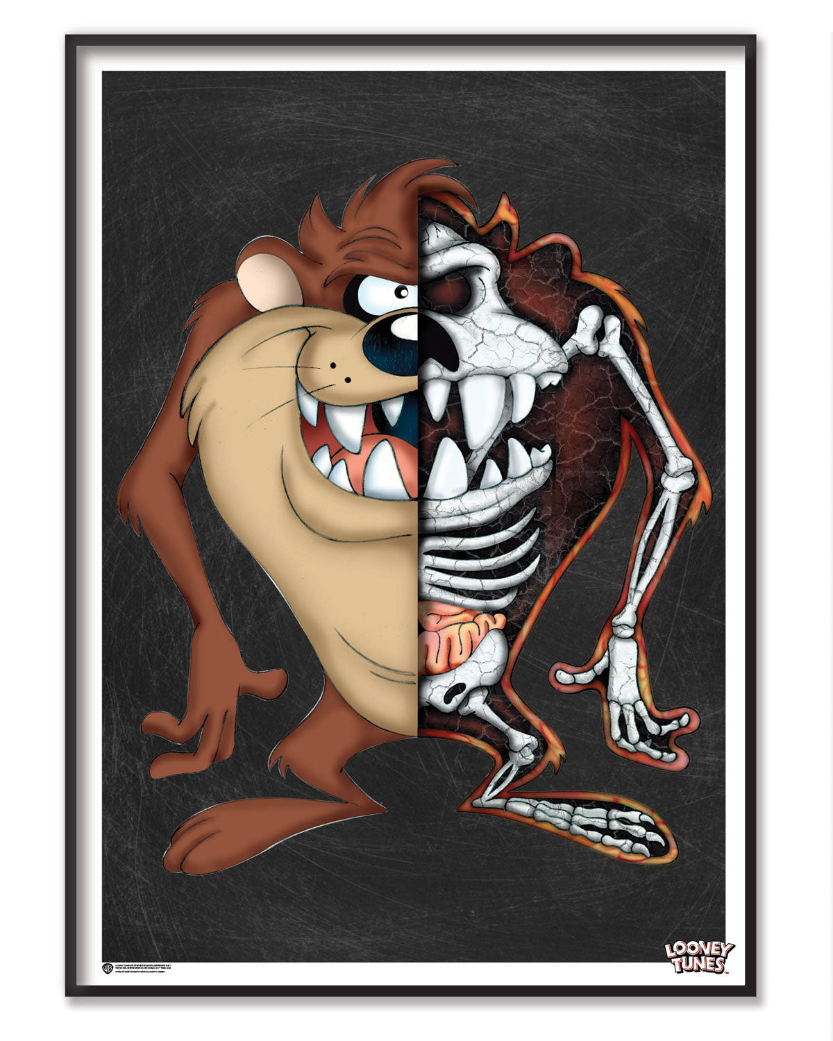 The Anatomy Of Tasmanian Devil Poster