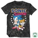 Sonic The Hedgehog - Sonic & Tails Organic Tee