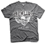 Team Kingston Falls Gremlins of 1984 T-Shirt