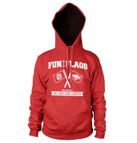 Fun With Flags Hoodie