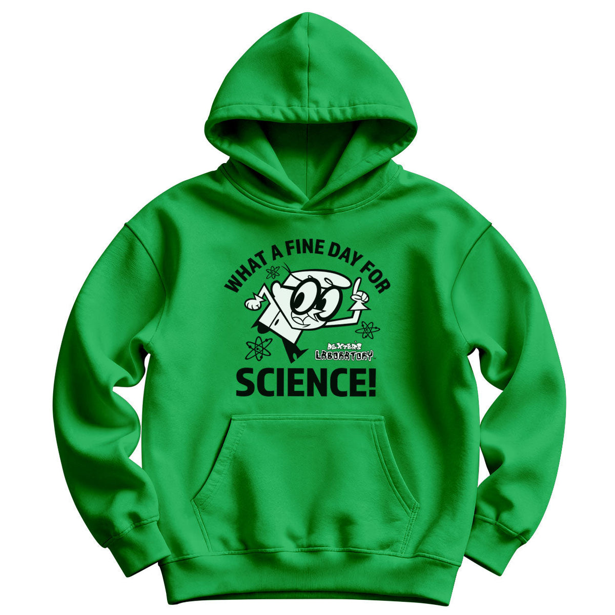 What A Fine Day For Science Kids Hoodie